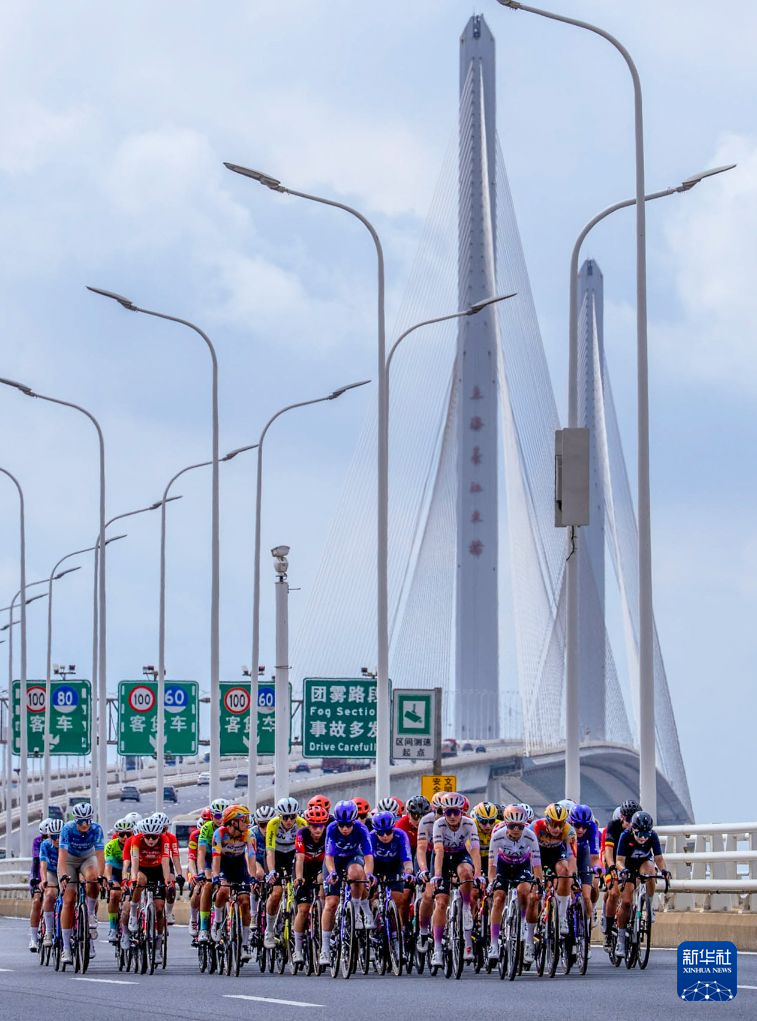 ylzz总站线路检测相关图片