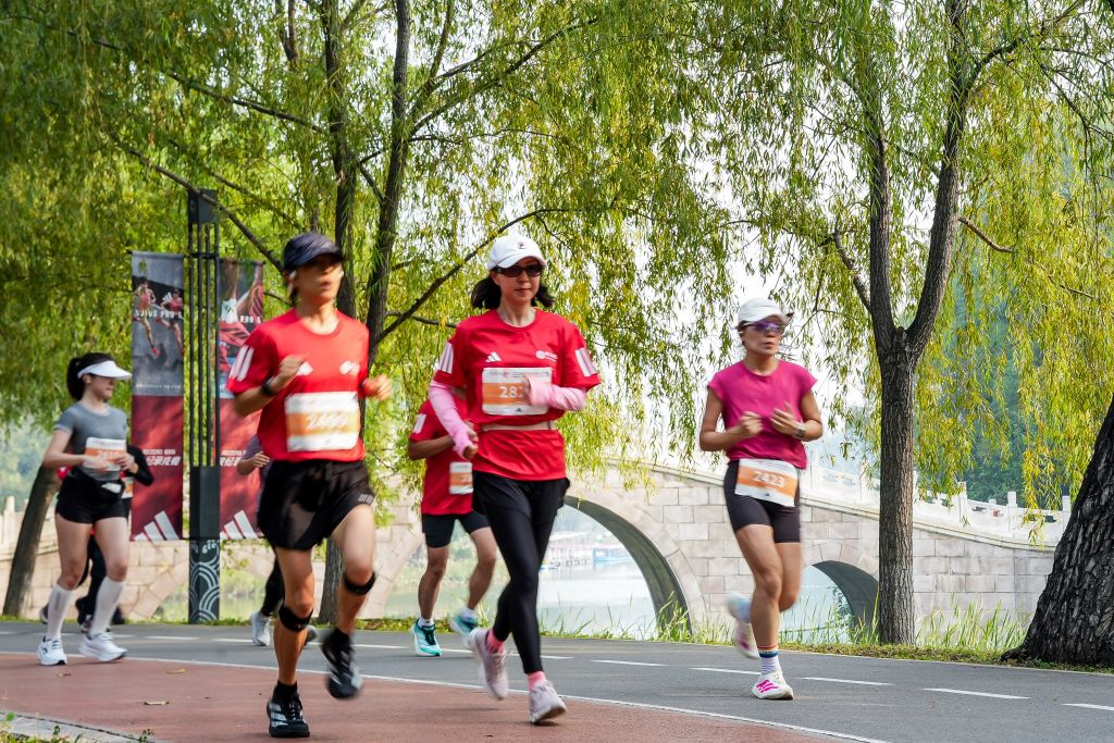 ylzz总站线路检测介绍图片