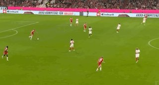 222.gif