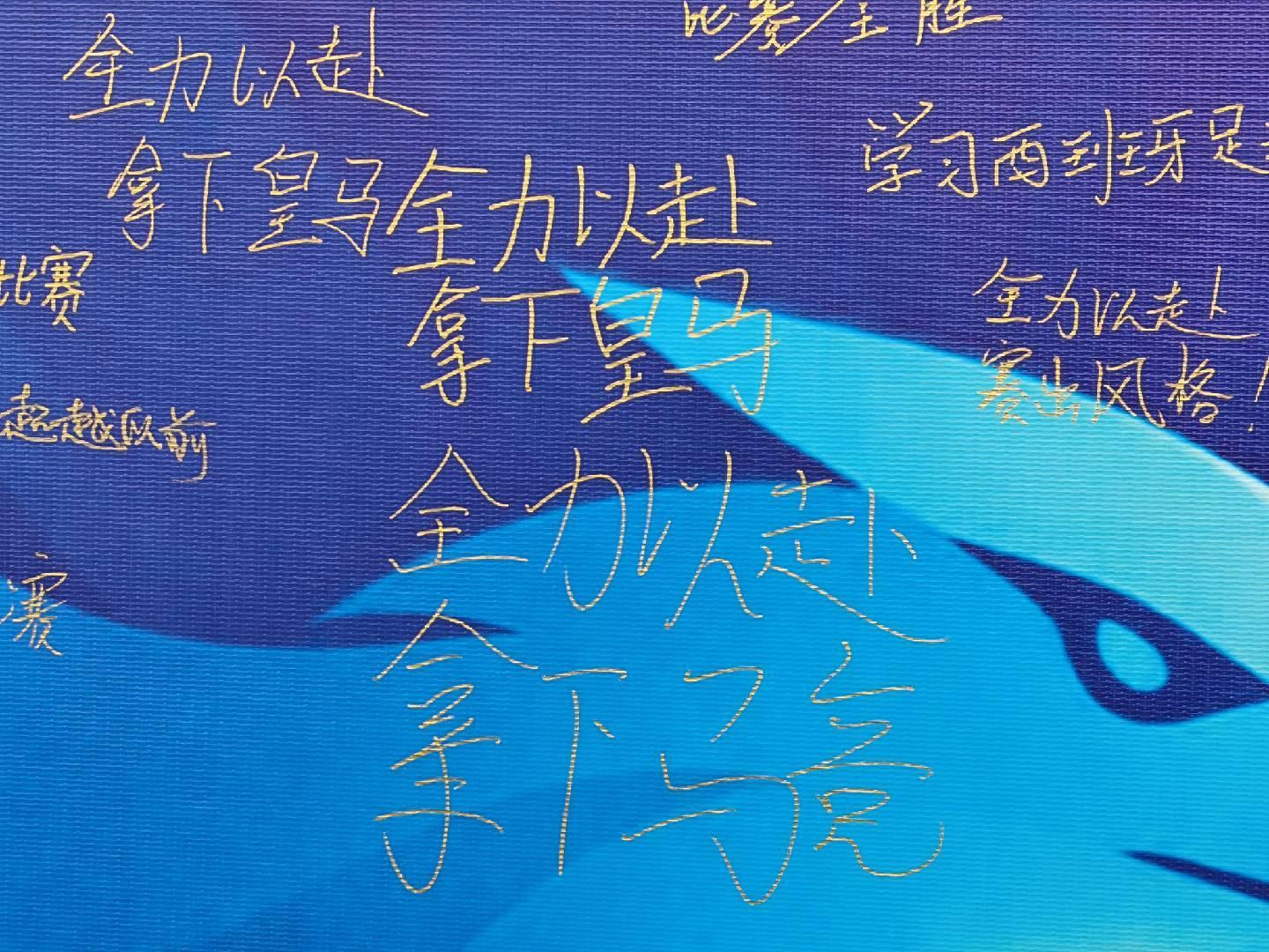专业ylzz总站线路检测服务