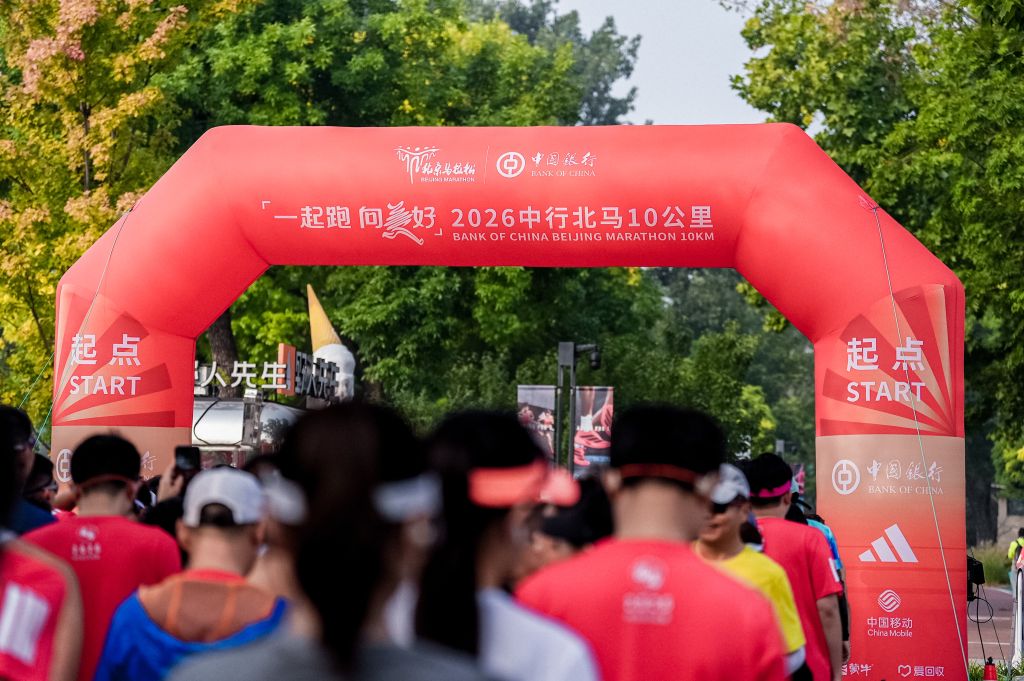 ylzz总站线路检测展示图片