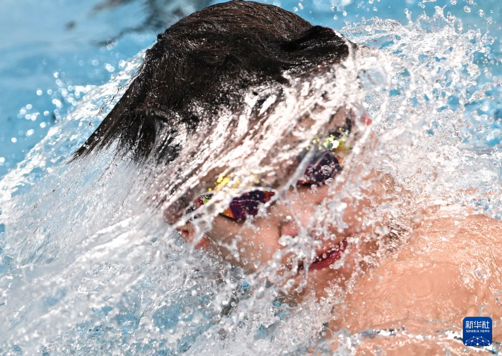 ylzz总站线路检测介绍图片